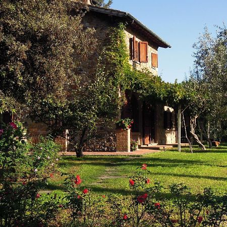 Poggetto Masino Villa Suvereto Exterior photo