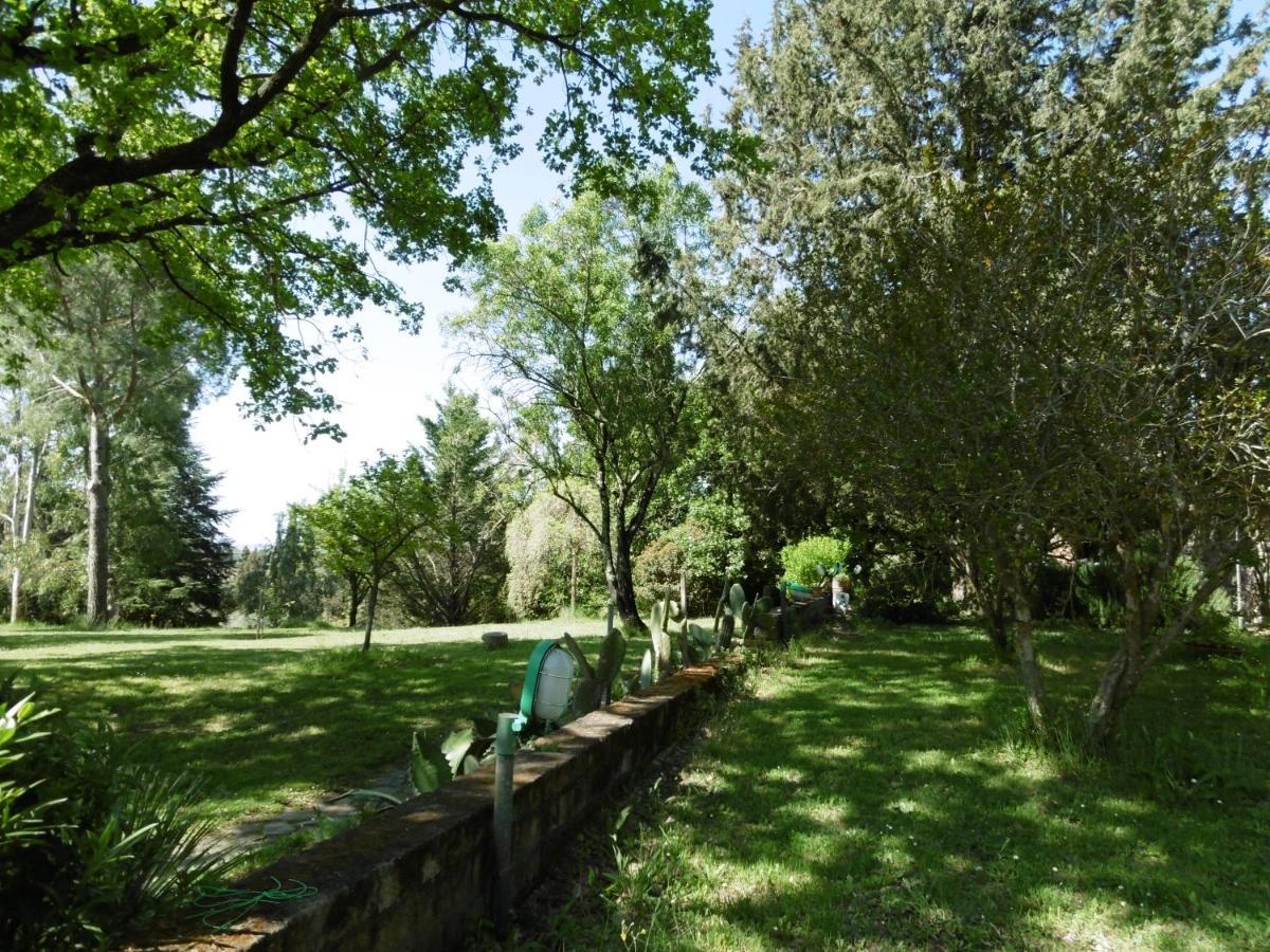 Poggetto Masino Villa Suvereto Exterior photo