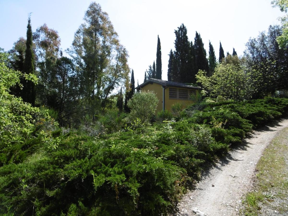 Poggetto Masino Villa Suvereto Exterior photo