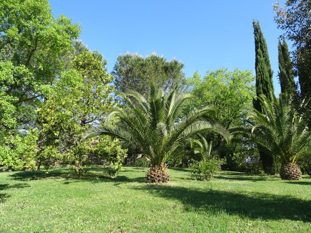 Poggetto Masino Villa Suvereto Exterior photo